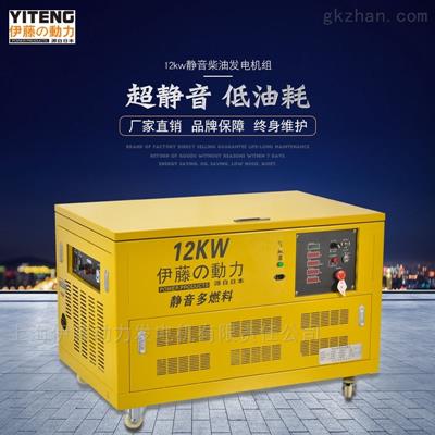 YT12RGF-ATS三相汽油發(fā)電機(jī)12KW