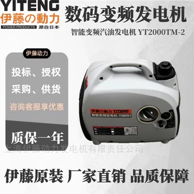 YT2000TM-2小型露營用汽油發(fā)電機(jī)