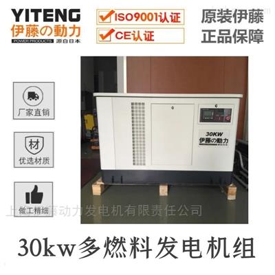 30KW多燃料低噪音發(fā)電機(jī)YT30REP