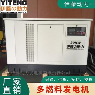 30kw機(jī)房應(yīng)急發(fā)電機(jī)YT30REP