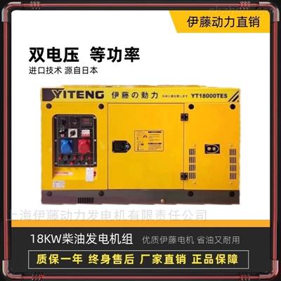 YT18000TES雙缸柴油發(fā)電機(jī)