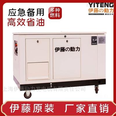 15KW汽油發(fā)電機(jī)YT15RSE-ATS斷電自啟動