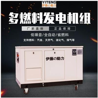 15KW全自動汽油發(fā)電機(jī)YT15RSE-ATS