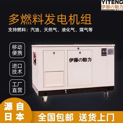 移動式應(yīng)急發(fā)電機(jī)YT15RSE-ATS