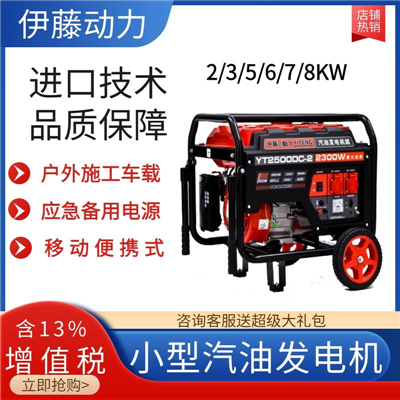 2KW手啟動汽油發(fā)電機YT2500DC-2