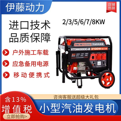 3KW移動手推汽油發(fā)電機YT3600DC-2