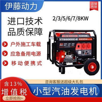 5KW手啟動汽油發(fā)電機YT6500DC-2