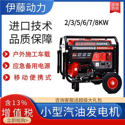 5KW開架式汽油發(fā)電機YT6500DCE3-2